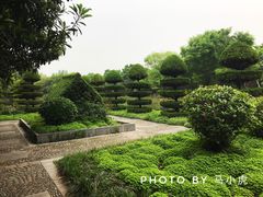 景点-洛阳市隋唐城遗址植物园