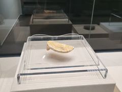 -南越王博物院(王宫展区)