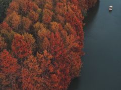 -上海海湾国家森林公园