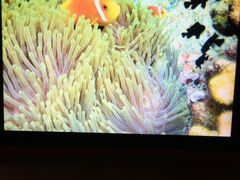 -中央格兰德岛温泉度假酒店 - 全包