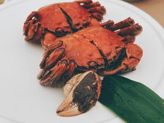 -苏小柳点心·手作小笼包(浦东嘉里城分院)