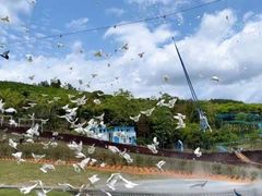 -瓷天下海丝谷