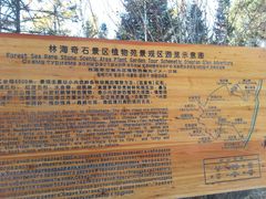景点-汤旺河林海奇石景区