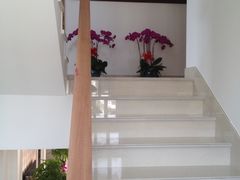 -花岙岛