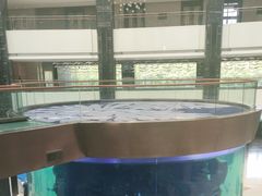 -OPEN開全日自助餐厅·牛肉火锅·海鲜(佛山希尔顿酒店)