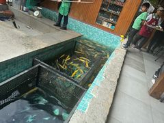-京北渔家傲