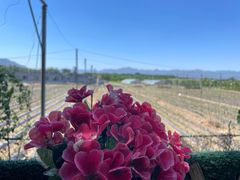 -亲兄弟真人CS团建拓展基地