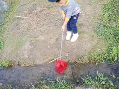 -贵阳市花溪国家城市湿地公园