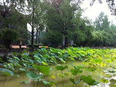 -四川大学(华西校区)