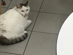 -新记餐厅(香槟大厦店)