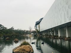 景点-罗红摄影艺术馆
