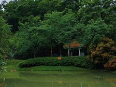 -火炉山森林公园