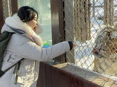 -横道河子东北虎林园