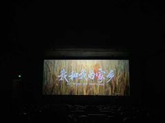 -中影星美国际影城(万家丽店)