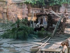 -泉州海丝野生动物世界