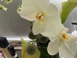 -明潪Selfology升维护理中心