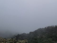 -鲁山国家森林公园