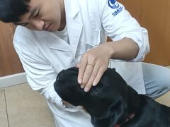 -宠福鑫动物医院·动物疾病诊疗中心(天通苑店)