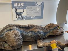 -棕榈MALL