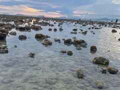 -三亚游船旅游中心(三亚鹿回头游艇游船公共码头店)