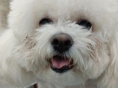 -纳吉亚猫专科动物诊疗中心(蒋宅口分院)