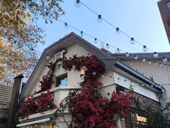 -弗兰克牛排西餐厅Ribone steak house(柠檬花园店)