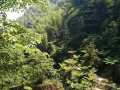 -广州市白云山风景名胜区