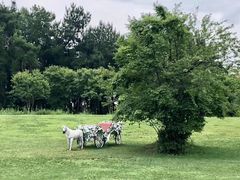 -云漫湖生态度假公园