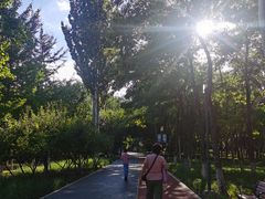 -大兴滨河森林公园