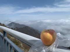 -白草畔自然风景区