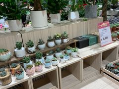 -AEON永旺(东方宝泰店)