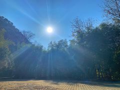 -石台牯牛降景区