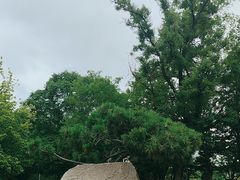 -大连植物园