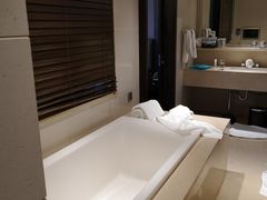 -北京长白山国际酒店(鸟巢店)