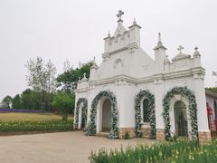 -杭州湾海上花田景区