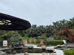 -雅安楠水阁温泉酒店