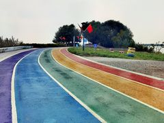 -贡湖湾湿地公园