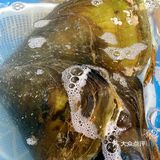 夏天和海鲜更配哦！来海簋一次把海鲜吃个够！