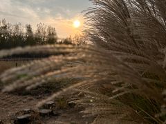 -汉长安城未央宫国家考古遗址公园