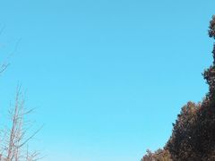 -蜀冈西峰生态公园