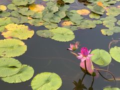 -国家植物园南园