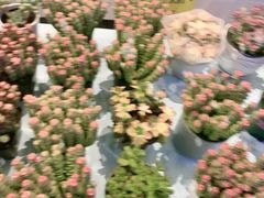 -百荣世贸商城