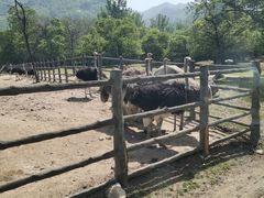 -西安秦岭野生动物园