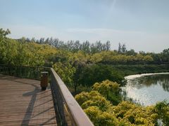 -东郊湿地公园