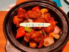 金不换三杯鸡-大树餐厅(益田假日店)