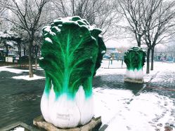 -大望京儿童游乐场