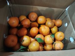 -骏骏牛肉粉店(吉庆街店)