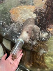 -Zoolung Zoolung动物主题公园(海信广场店)