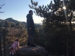 -普乐寺