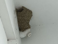 -苏州香山国际大酒店